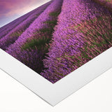 Rolled canvas showcasing a vibrant landscape field design in warm tones, ideal for home decor, featuring a textured surface and packaged securely in a tube.