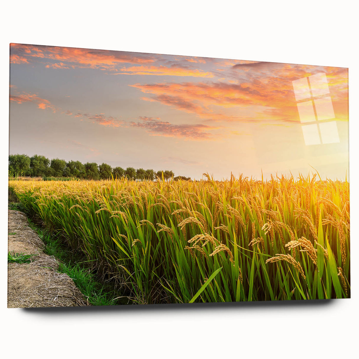 Acrylic glass wall art showcasing a vibrant landscape of rolling fields, framed elegantly from a side view, highlighting its sleek design and modern aesthetic.