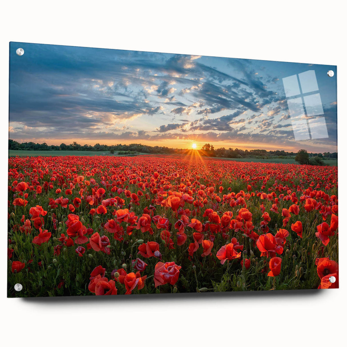 Acrylic wall art collection showcasing vibrant landscape fields design, elegantly framed with a side view display and decorative pins for modern decor.