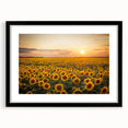 Framed wall art featuring a vibrant landscape field design, showcasing lush green fields and a bright blue sky, with a sleek black matte frame for modern decor.