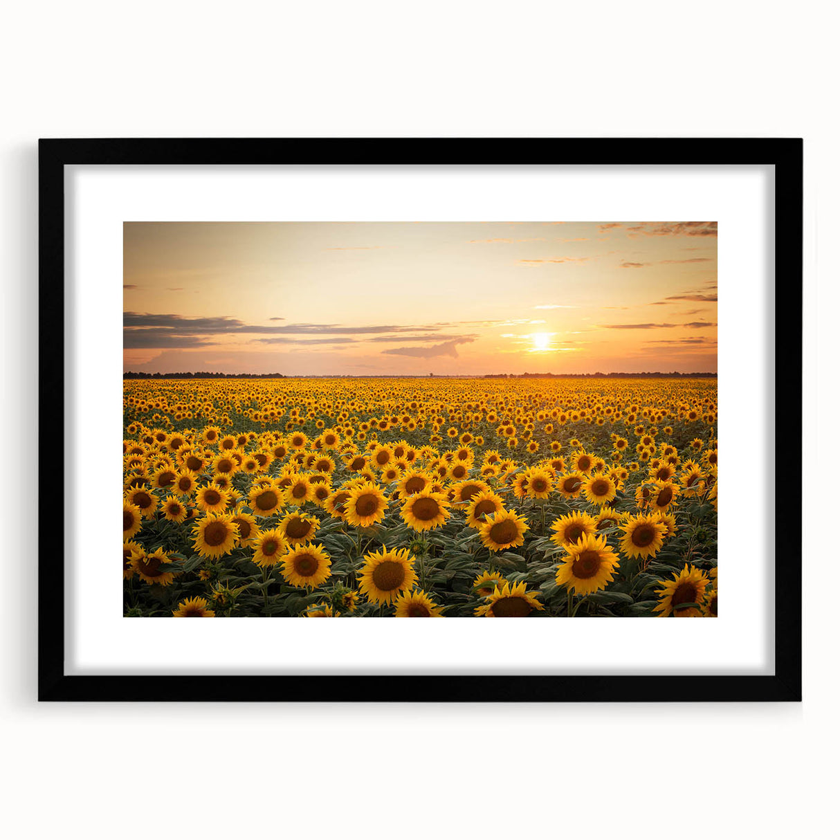 Framed wall art featuring a vibrant landscape field design, showcasing lush green fields and a bright blue sky, with a sleek black matte frame for modern decor.