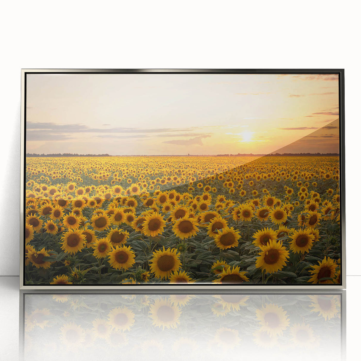 Framed acrylic wall art featuring a stunning landscape of golden fields under a blue sky, elegantly designed with a silver frame, perfect for modern decor.