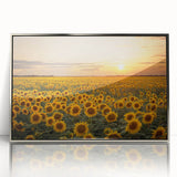 Framed acrylic wall art featuring a stunning landscape of golden fields under a blue sky, elegantly designed with a silver frame, perfect for modern decor.