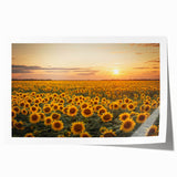 Vibrant rolled print of a serene landscape featuring lush green fields and a clear blue sky, perfect for home decor. Packaged securely in a cardboard tube for safe delivery.