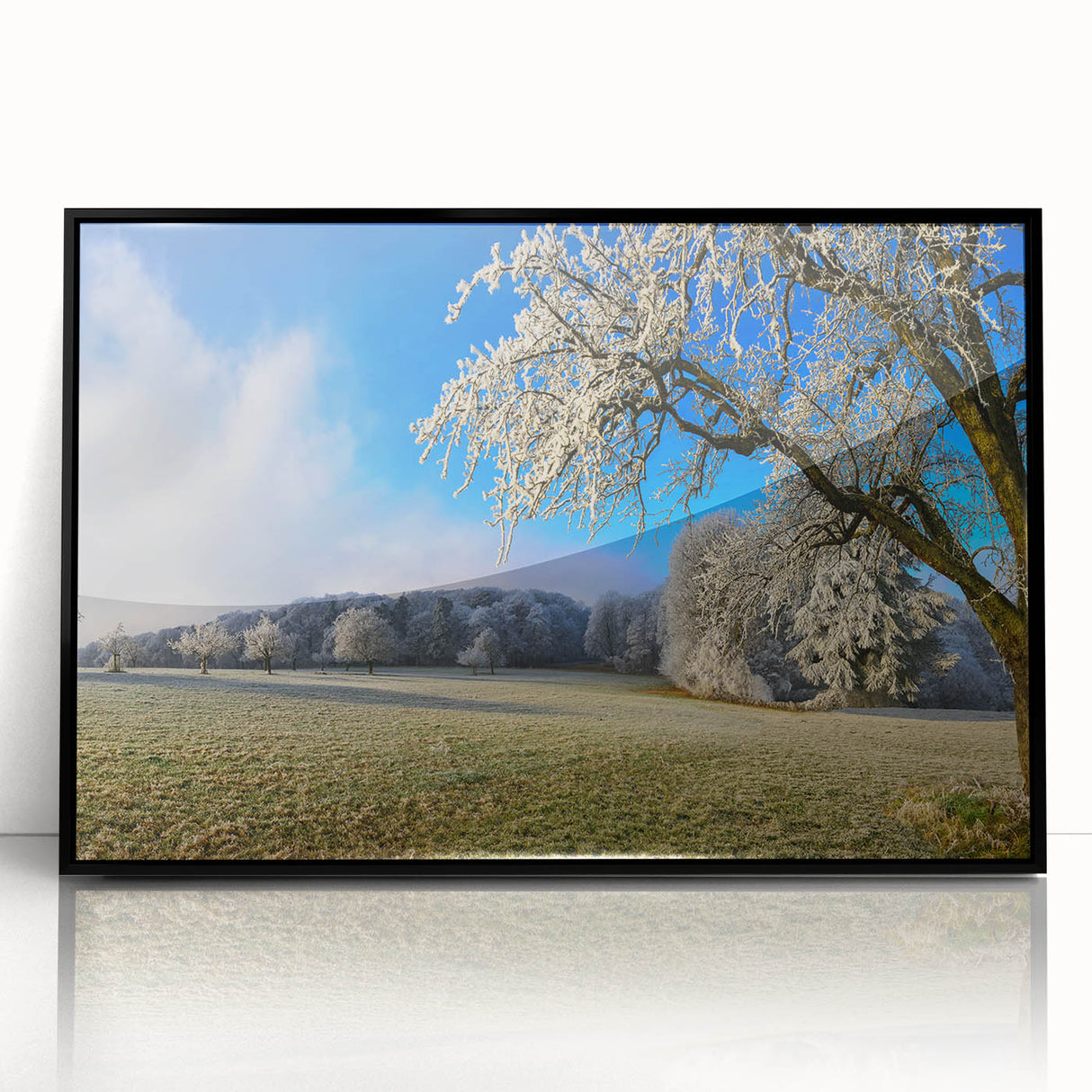 Framed acrylic wall art showcasing a vibrant landscape field design, set against a black frame, perfect for enhancing home decor with a touch of nature.
