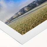 Vibrant rolled canvas print showcasing a serene landscape of golden fields under a blue sky, perfect for enhancing home decor with a touch of nature's beauty.