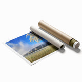 Vibrant rolled print of a scenic landscape featuring lush green fields and a clear blue sky, perfect for home decor, showcasing serene nature aesthetics.