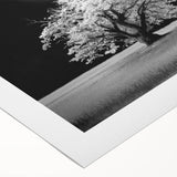Vibrant rolled canvas wall art showcasing an abstract landscape design with rich colors and textures, ideal for home decor and enhancing interior spaces.