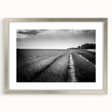 Framed landscape wall art collection featuring vibrant fields and nature scenes, presented in a stylish silver frame with a mat, ideal for home decor enhancement.