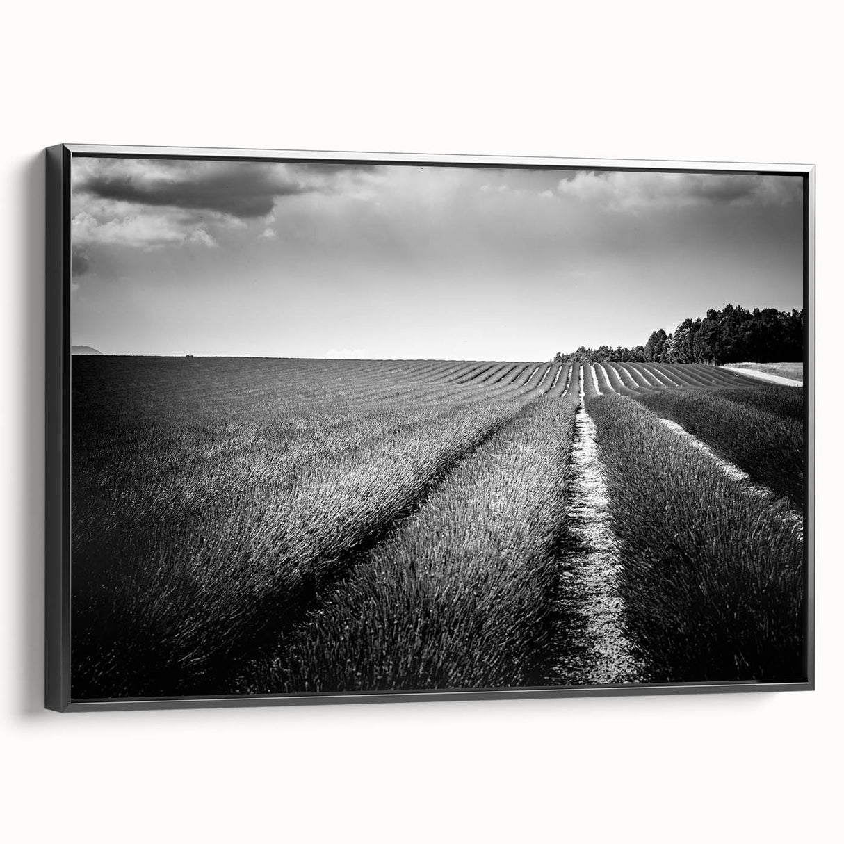 Framed canvas wall art showcasing a vibrant landscape field design with rich colors, presented with a sleek black frame, ideal for modern home decor.