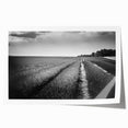 Vibrant rolled print showcasing a serene landscape field design, featuring lush green hills and a bright blue sky, ideal for home decor or art enthusiasts.