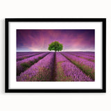 Framed wall art collection showcasing a vibrant landscape design with fields, presented in a sleek black frame and mat, perfect for home decor enhancement.