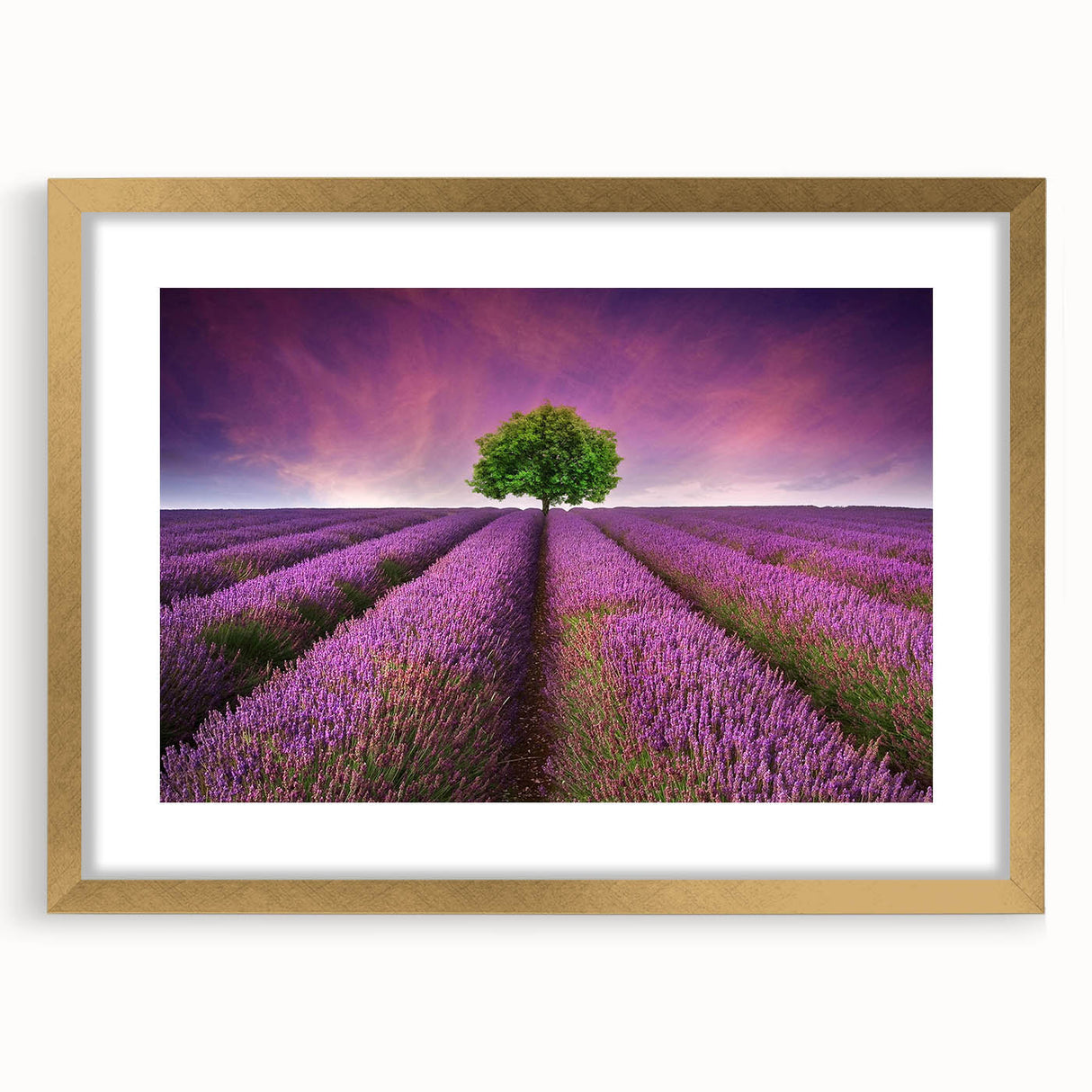 Framed wall art featuring a vibrant landscape design with golden matting, perfect for home decor. The artwork showcases rolling fields in rich colors, adding a touch of elegance to any room.