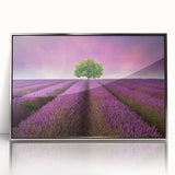 Framed wall art collection showcasing a serene landscape of rolling fields, with a silver acrylic front for a modern touch, perfect for home decor.