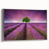 Framed canvas wall art collection showcasing serene landscape fields with vibrant colors, elegantly displayed with a silver frame, adding a modern touch to home decor.