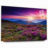 Acrylic glass wall art collection displaying vibrant landscape fields design in a modern setting, highlighting rich colors and intricate details, ideal for home decor.
