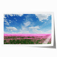 Vibrant rolled print showcasing a serene landscape field design with lush green fields and a blue sky, perfect for home decor or office artwork.