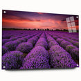 Acrylic glass wall art featuring a vibrant landscape design with fields and greenery, displayed from a side view with decorative pins, ideal for modern home decor.