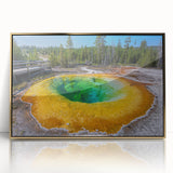 Framed acrylic wall art featuring a golden geyser design, showcasing vibrant colors and intricate details, perfect for enhancing modern home decor.