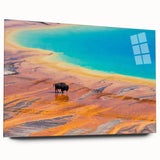 Acrylic glass wall art featuring a vibrant geyser landscape design, showcasing vivid colors and intricate details, perfect for enhancing modern decor settings.