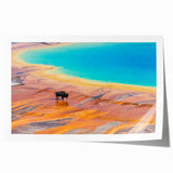 Vibrant rolled print of a geyser landscape design, showcasing vivid colors and intricate details, perfect for home decor or art collection display.