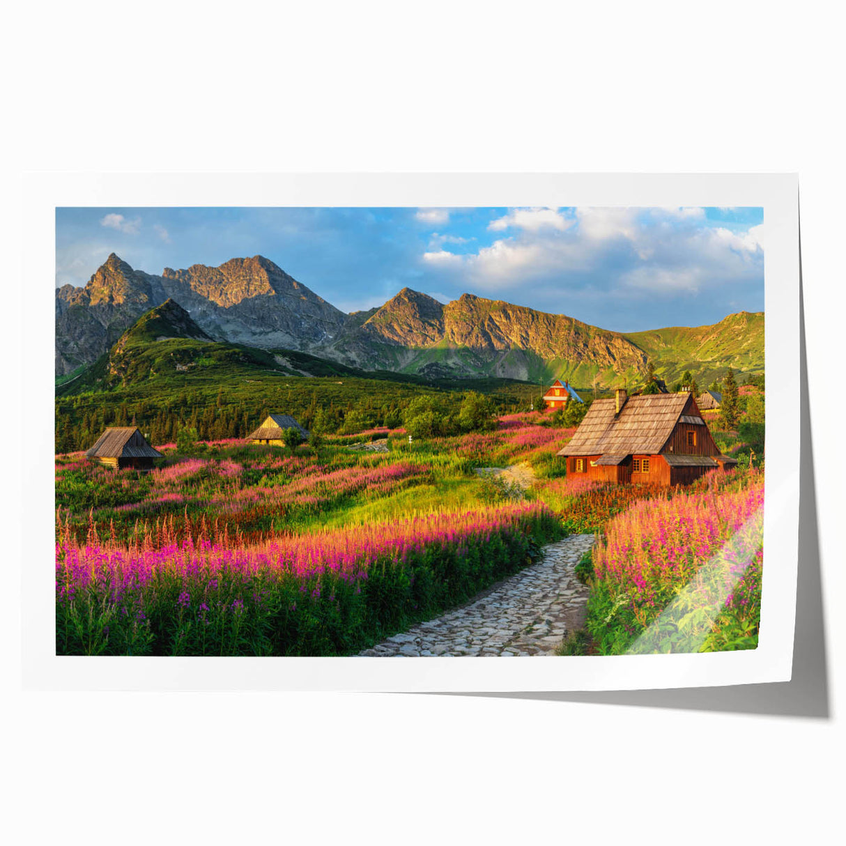Vibrant rolled print showcasing a serene harbor landscape design featuring soft blues and greens, ideal for home decor or art collection. Perfect for enhancing any living space.