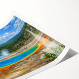 Vibrant rolled print showcasing a serene hot spring landscape design, featuring lush greenery and calming water, perfect for enhancing home decor aesthetics.