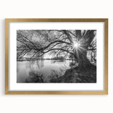 Framed wall art featuring a serene landscape of lakes, highlighted by a gold frame and mat, perfect for enhancing home decor with nature-inspired elegance.