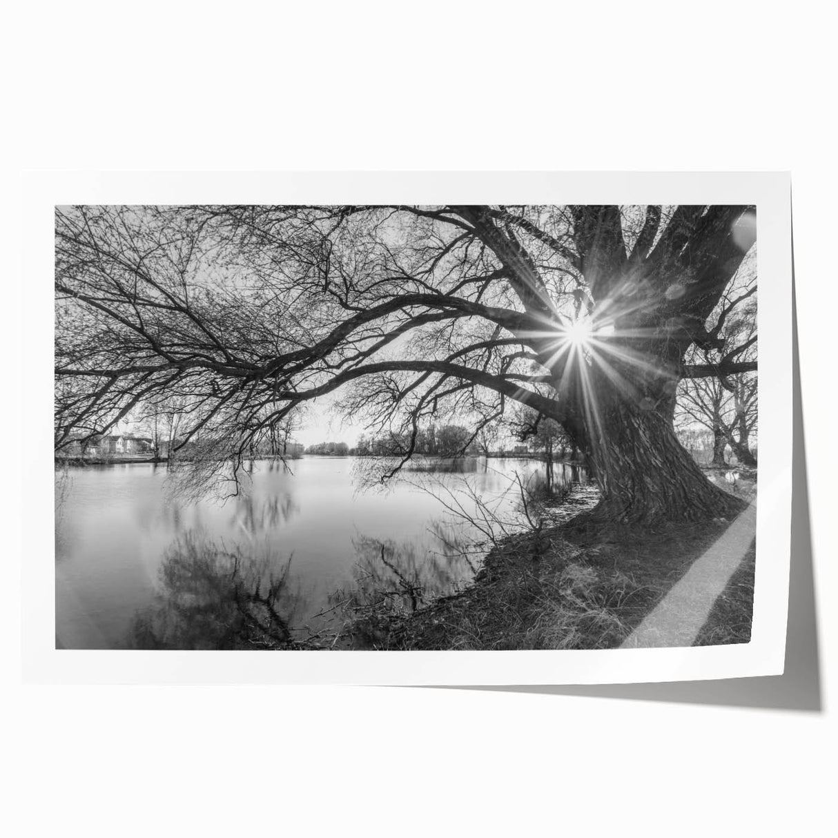 Vibrant wall art print showcasing a serene lake landscape with lush greenery and a clear blue sky, rolled and ready for display in a stylish home setting.