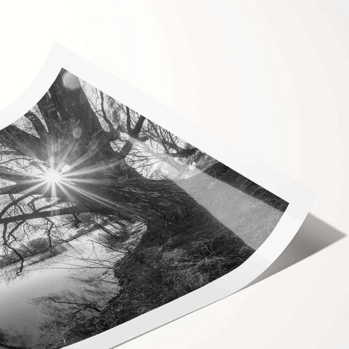 Vibrant landscape wall art print showcasing serene lakeside scenery with lush greenery and a clear blue sky, rolled for easy display and transport.