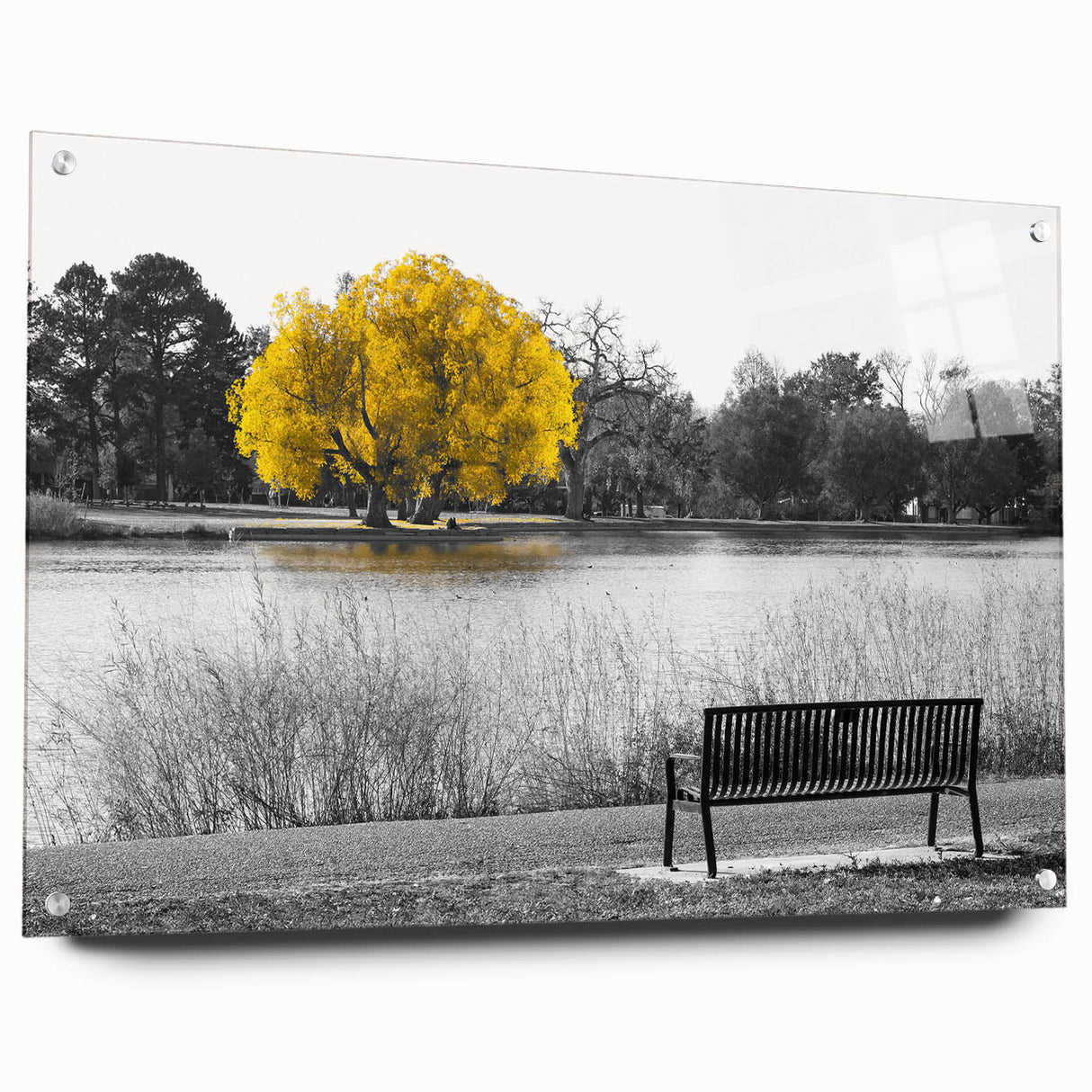Acrylic glass wall art featuring a serene lakeside landscape design, showcasing vibrant colors and depth, mounted with pins for easy display. Ideal for nature-inspired decor.