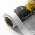 Rolled canvas artwork showcasing a serene lake landscape with vibrant colors and intricate details, ideal for home decor, packaged securely in a protective tube.