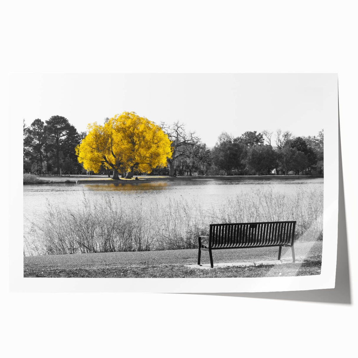 Vibrant rolled print of a serene lake landscape, showcasing lush greenery and soft blue skies, ideal for enhancing home decor with nature-inspired art.