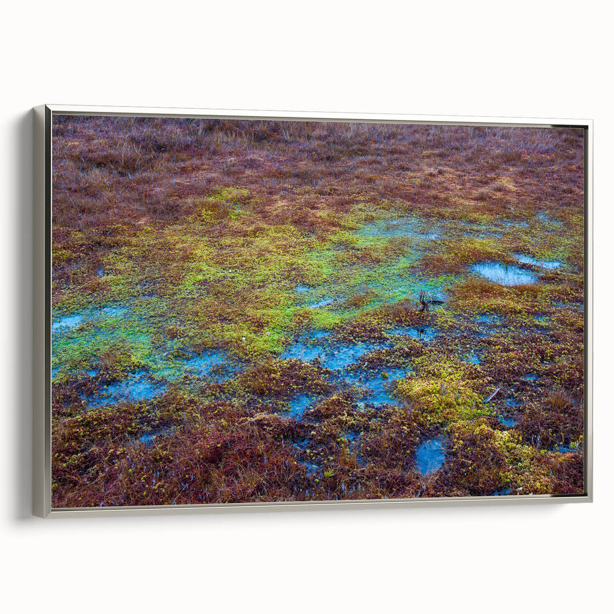 Framed canvas wall art showcasing a serene marshland landscape with vibrant greenery and a silver frame, perfect for home decor and nature enthusiasts.