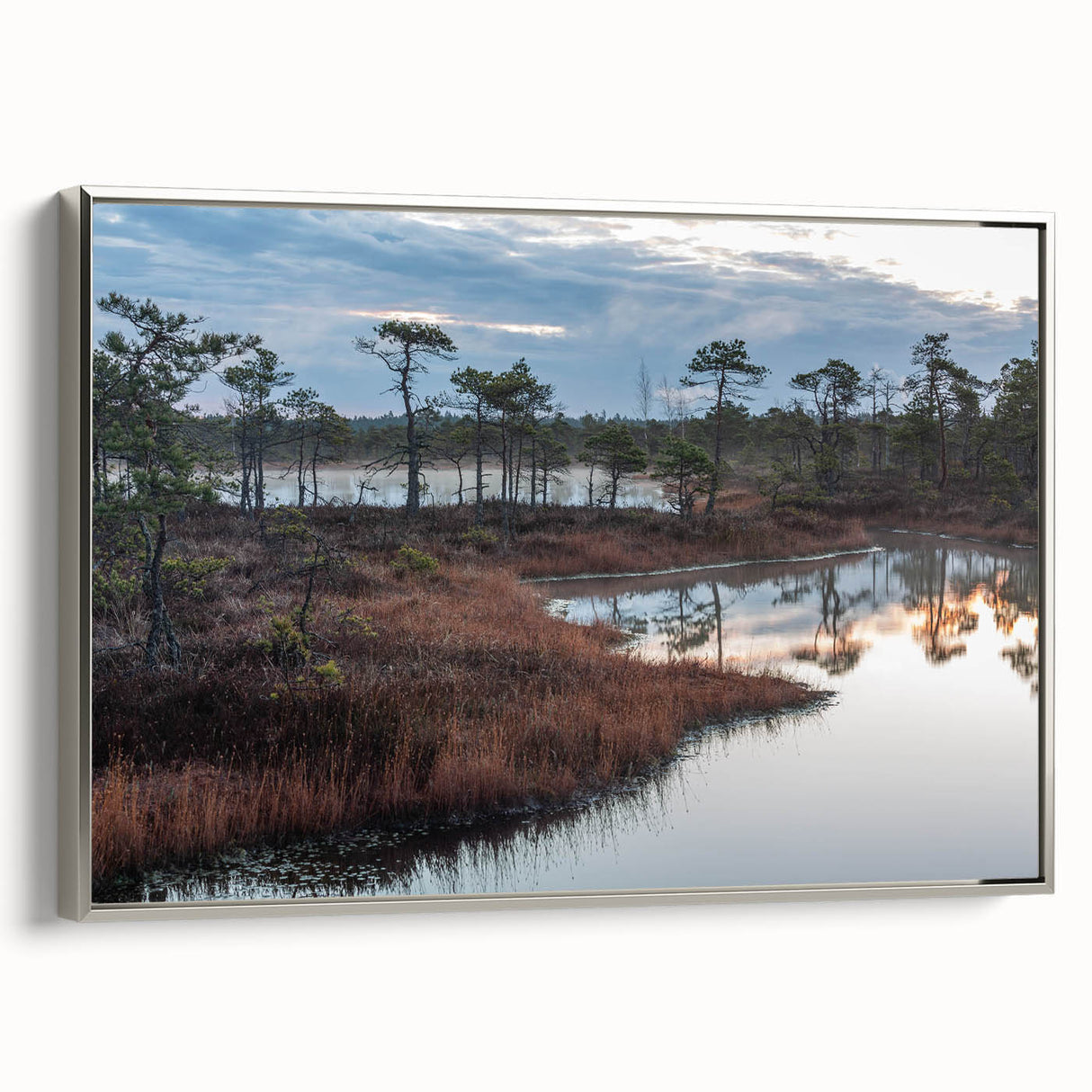 Framed wall art showcasing a serene landscape of a marshy swamp, featuring lush greenery and reflective water, with a sleek silver frame enhancing its elegance. Perfect for nature lovers and home decor enthusiasts.