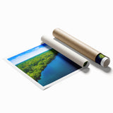 Vibrant rolled print of a serene marsh landscape with lush greenery and reflective water, perfect for enhancing home decor with nature-inspired art.
