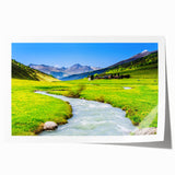 Vibrant rolled print showcasing a serene marsh landscape with lush greenery and a reflective water surface, ideal for home decor or nature-themed art collections.