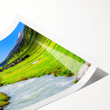 Vibrant rolled print of a swamp landscape showcasing lush green marsh vegetation, serene water reflections, and a tranquil natural setting, perfect for home decor.