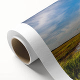 Rolled canvas artwork showcasing a serene marsh landscape with vibrant greens and subtle blue hues, perfect for nature-inspired home decor. Ideal for creating a calming atmosphere.