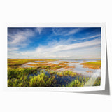 Rolled canvas print showcasing a vibrant marsh landscape with lush greenery and serene water reflections, ideal for nature-themed decor in homes or offices.