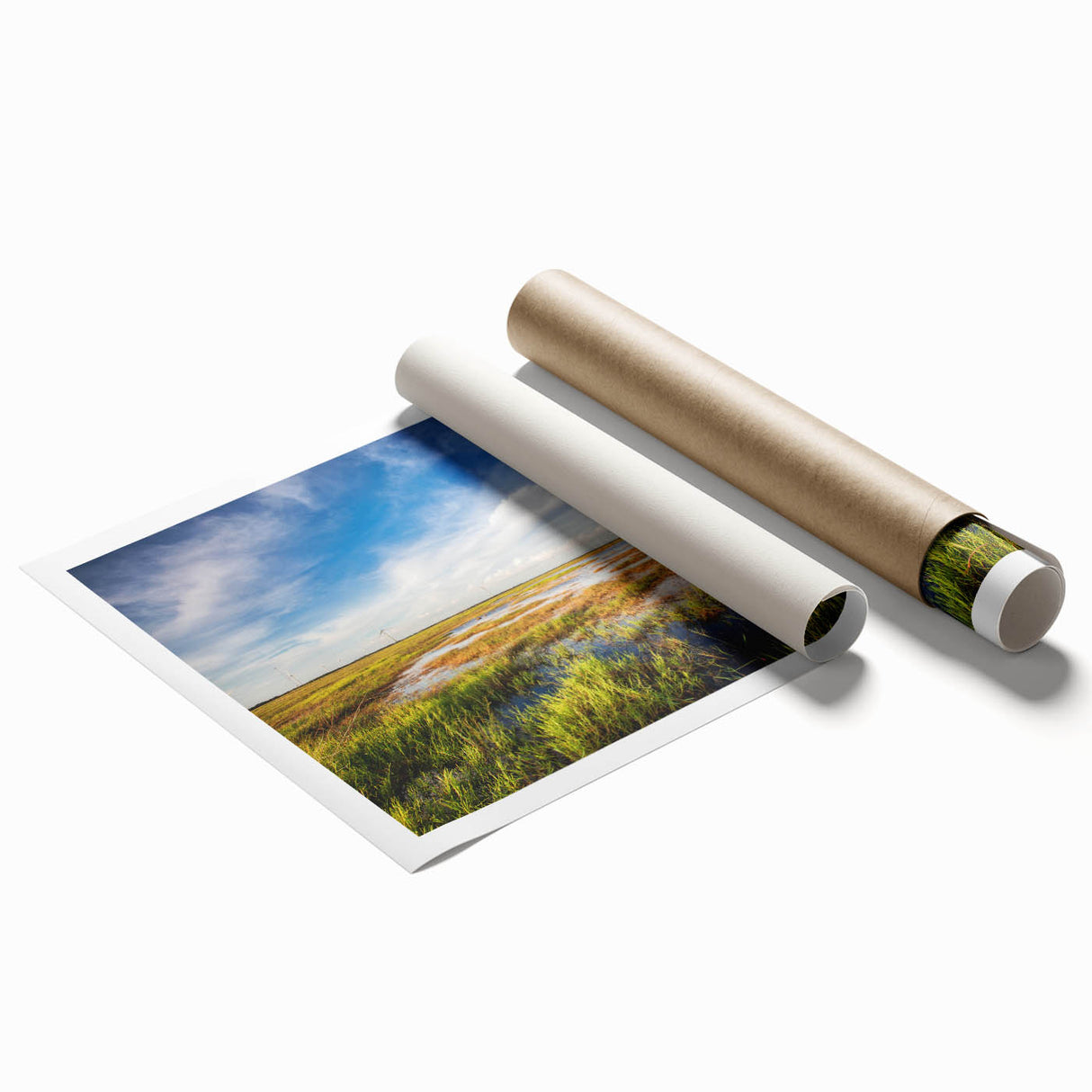 Landscape wall art print showcasing a serene marsh and swamp scene with lush greenery and tranquil water reflections, perfect for nature-inspired home decor.