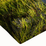 Close-up of a vibrant stretched canvas wall art featuring a serene marsh landscape with lush greenery, reflecting calm waters, ideal for nature-themed decor.