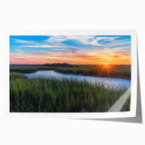Lush marshland landscape wall art print showcasing vibrant greens and serene water reflections, perfect for enhancing nature-inspired home decor.