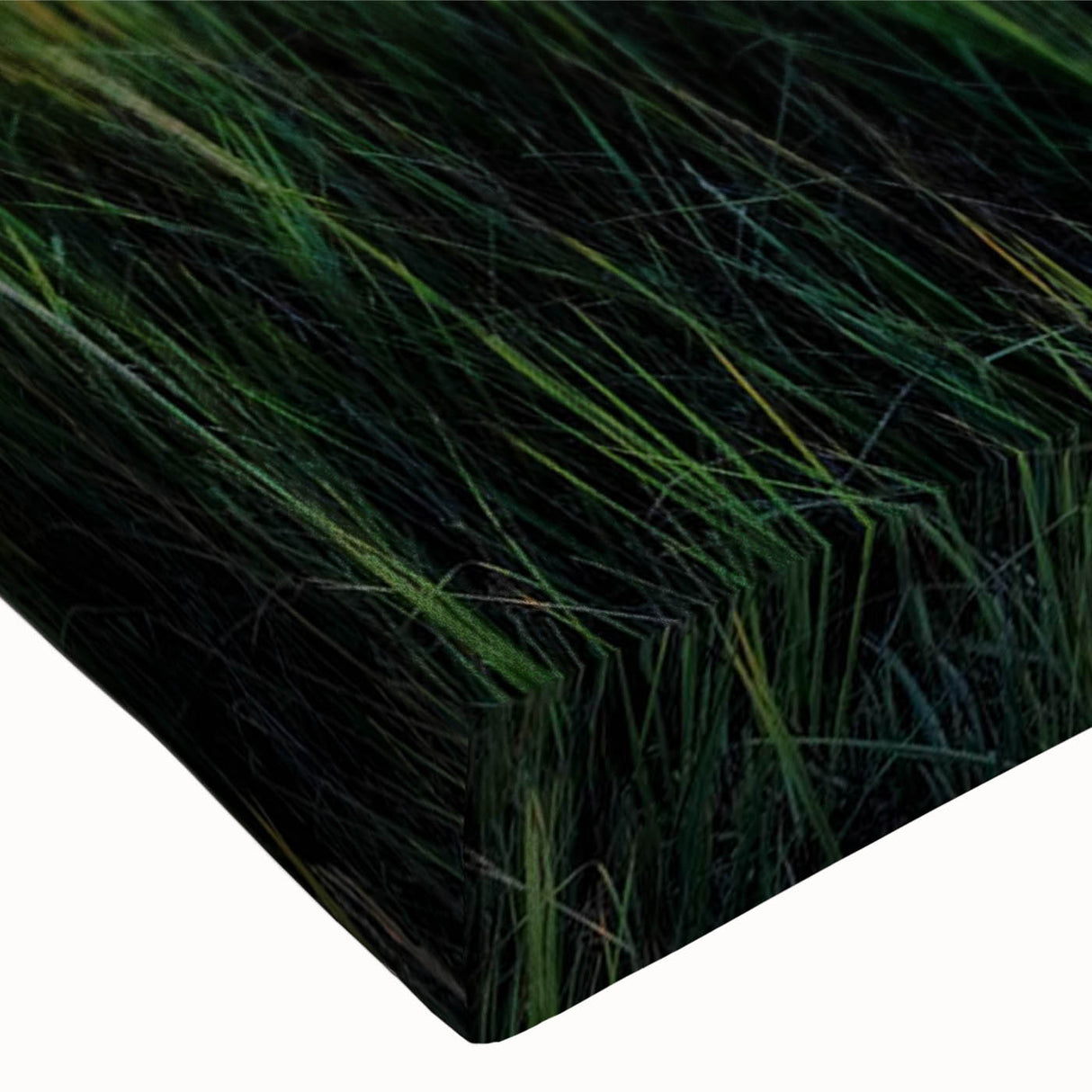 Close-up of a vibrant stretched canvas featuring a serene landscape of a marsh and swamp, showcasing rich greens and reflective water, perfect for nature lovers' home decor.
