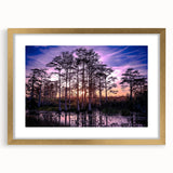 Framed wall art collection showcasing a serene marsh landscape with vibrant greens and blues, featuring a gold mat and elegant frame, perfect for home decor.