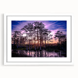 Framed wall art collection showcasing a serene marsh landscape with lush greens and subtle blues, featuring a white mat and frame, ideal for home decor.