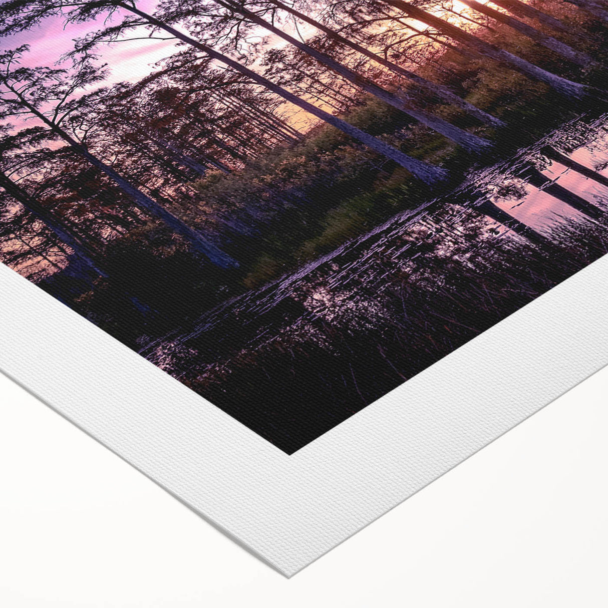 Vibrant rolled canvas wall art showcasing a serene marsh landscape with lush greenery and reflections in the water, ideal for nature-themed decor.