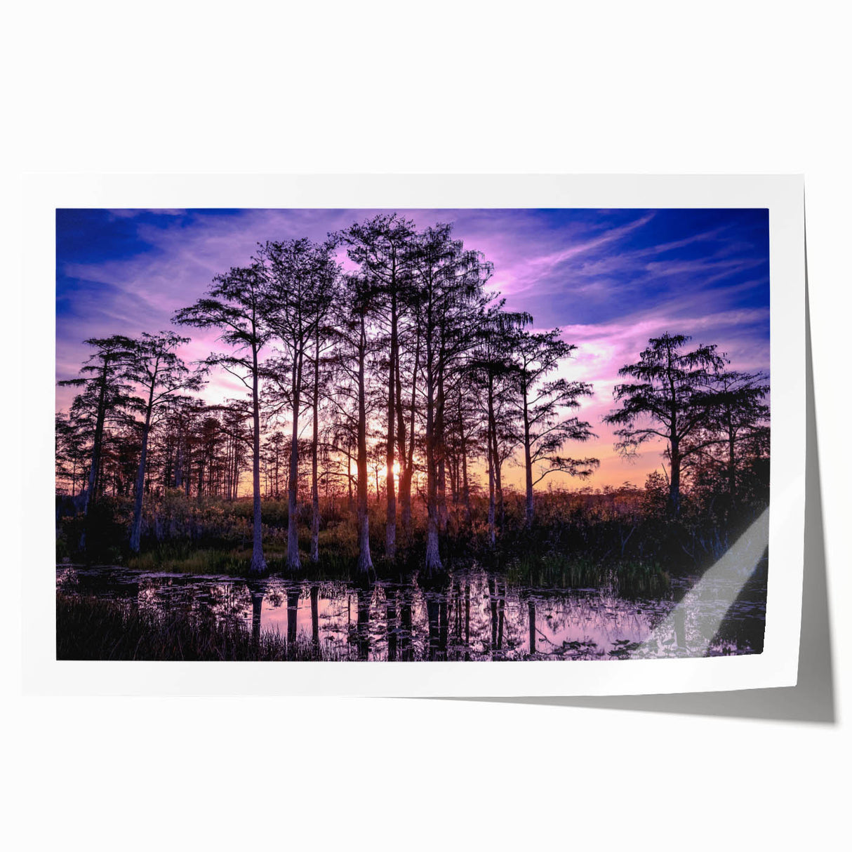 Vibrant rolled print showcasing a serene marsh landscape with lush greenery and a tranquil water reflection, perfect for enhancing home decor with nature-inspired art.