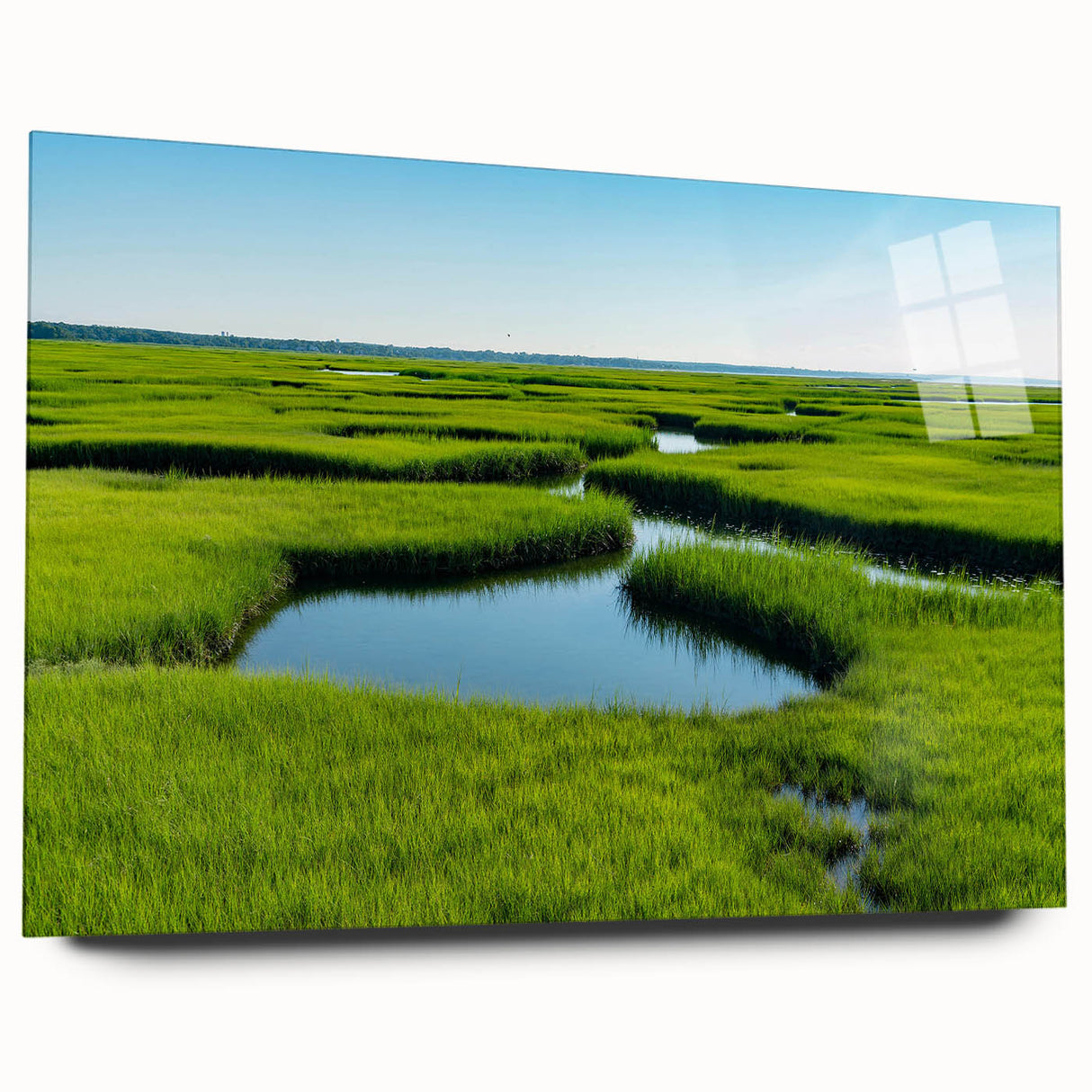Acrylic glass wall art showcasing a serene marsh landscape with lush greenery and tranquil water, designed for modern home decor. Ideal for nature enthusiasts.