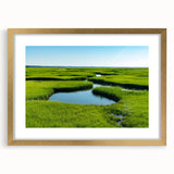 Framed wall art collection showcasing a serene marsh landscape with lush greenery and a reflective swamp, featuring a gold mat for an elegant touch.